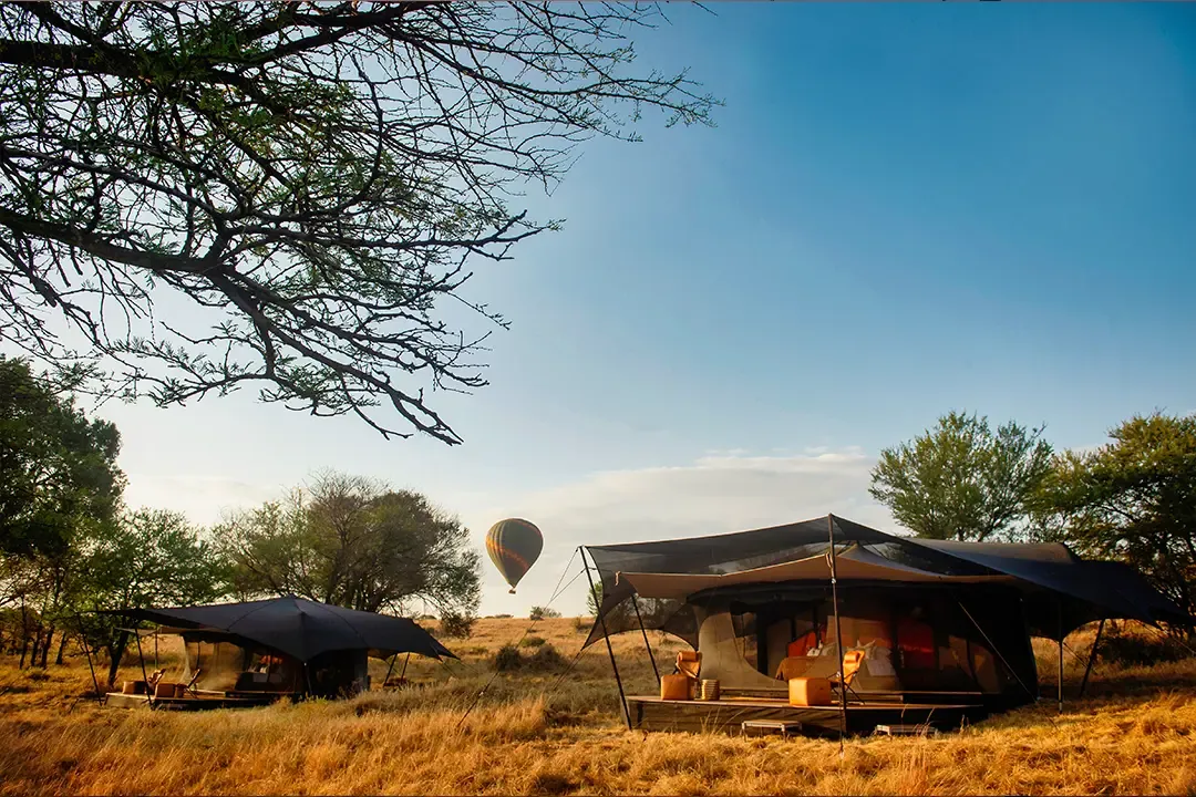 Siringit Serengeti Camp, Serengeti
