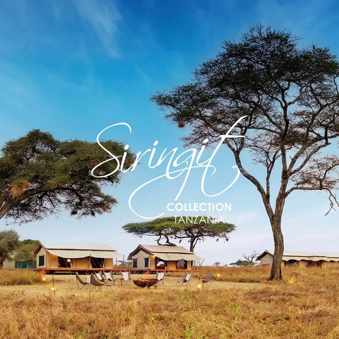 Siringit Serengeti Camp, Serengeti