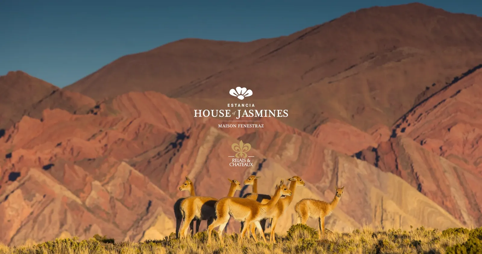 House Of Jasmines, Salta