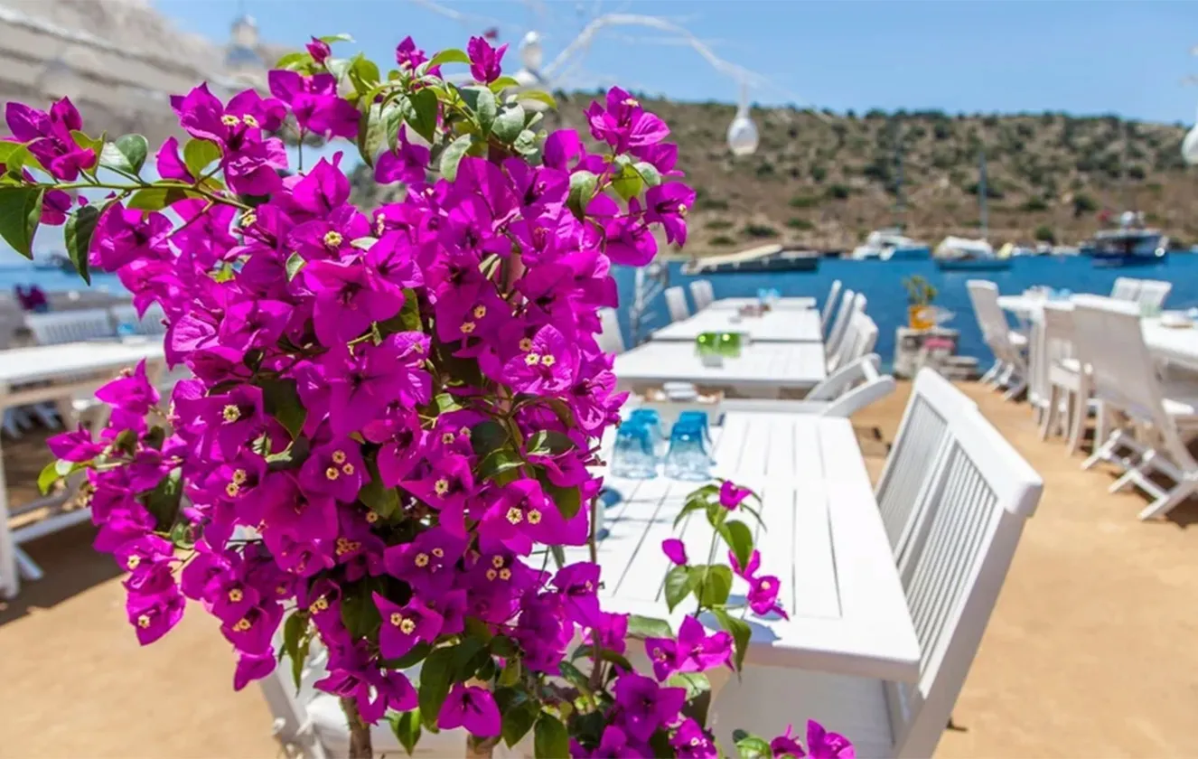 The Marmara Bodrum, Bodrum
