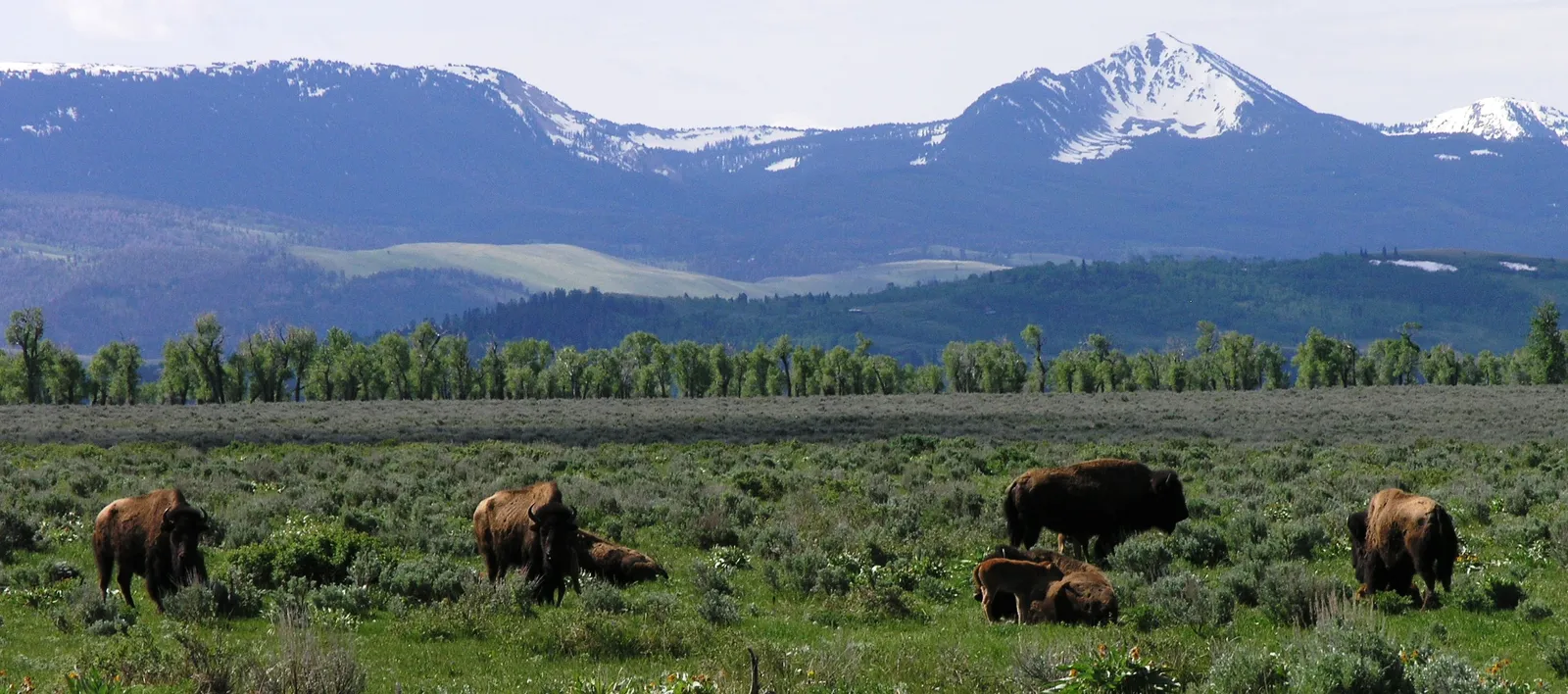 Jackson Hole, Teton Village