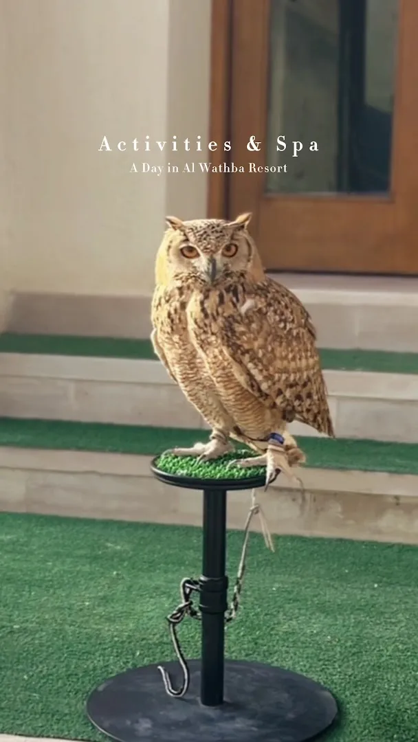 Al Wathba, a Luxury Collection Desert Resort & Spa, Abu Dhabi — At a glance, Abu Dhabi