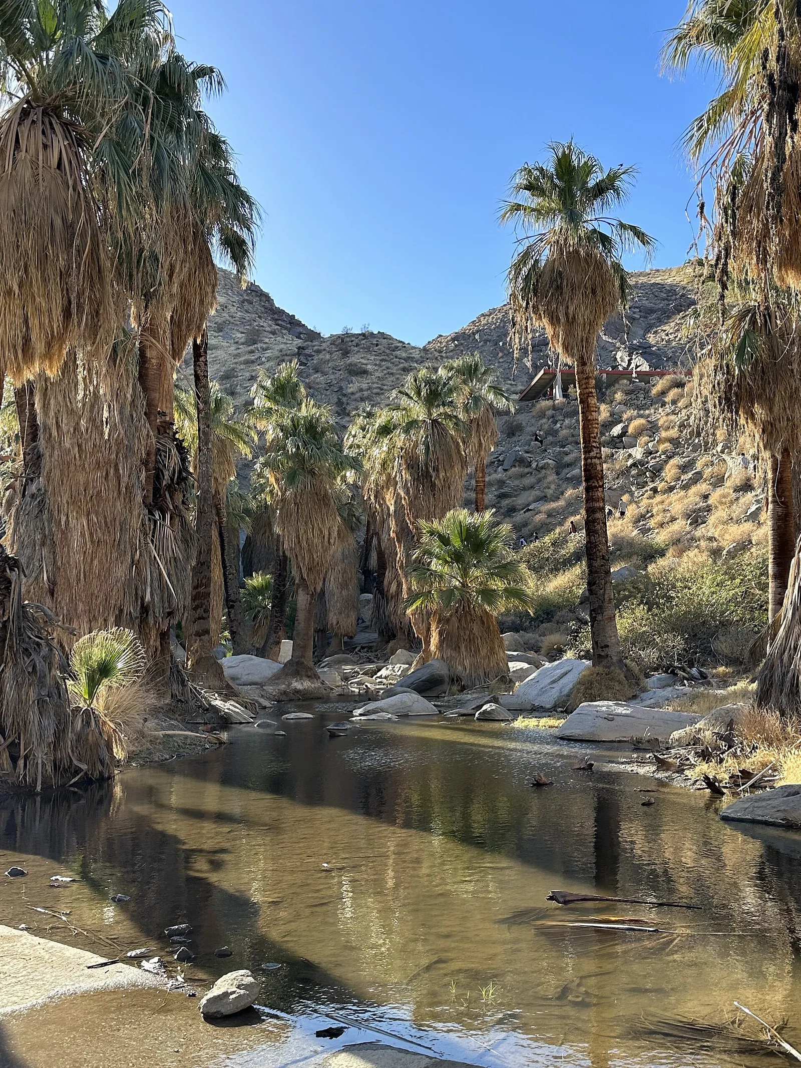 City of Palm Springs | Home, Dubai