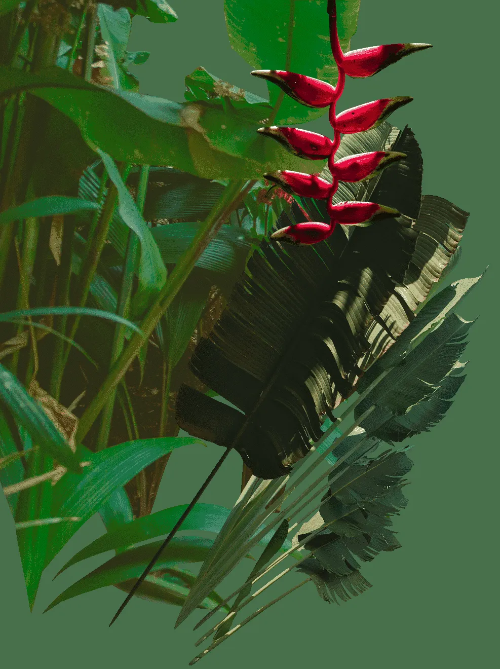 Nayara Gardens, La Fortuna