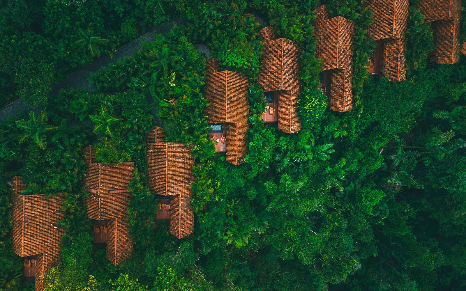 Amor Arenal, La Fortuna