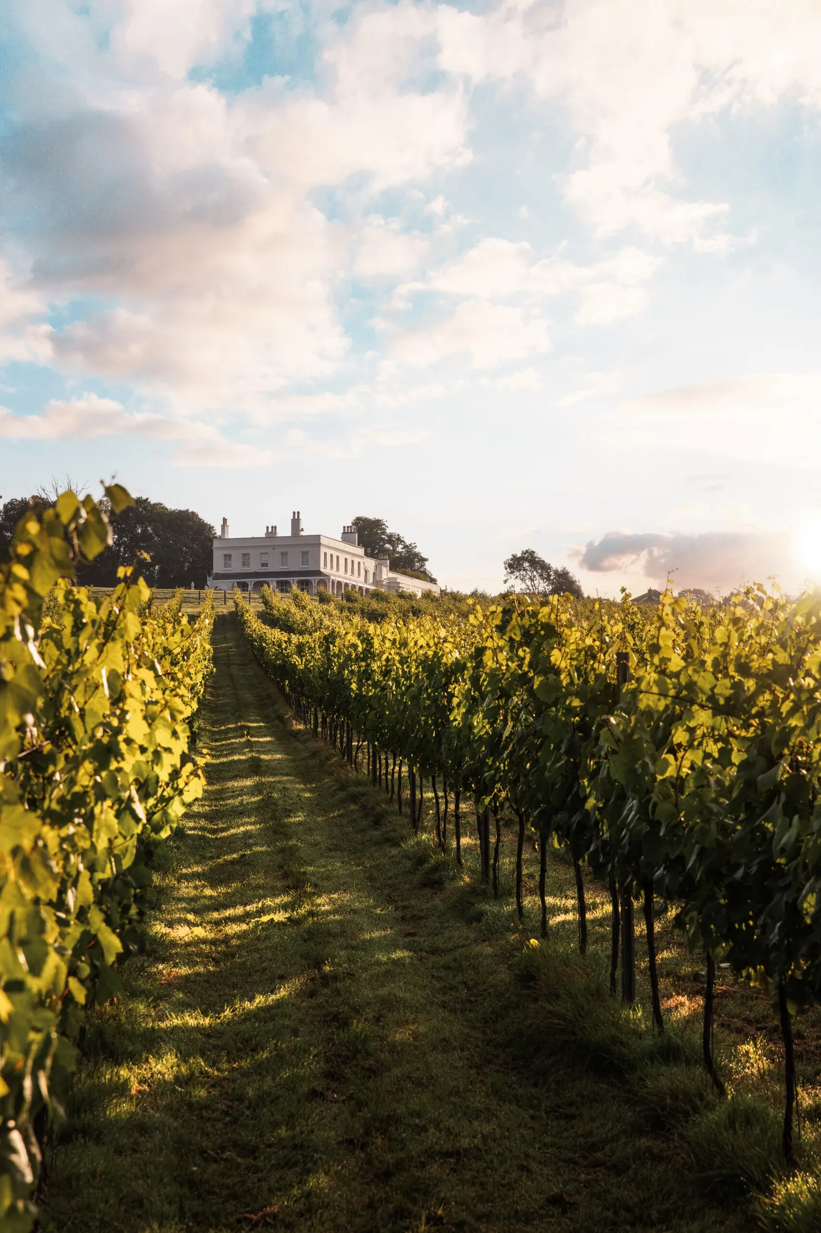 Lympstone Manor Hotel Restaurant And Vineyard, Lympstone