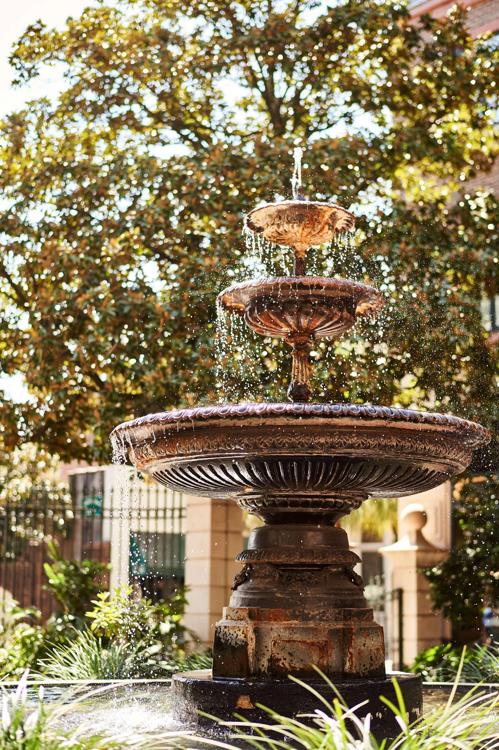The Charleston Place — Exterior, Charleston