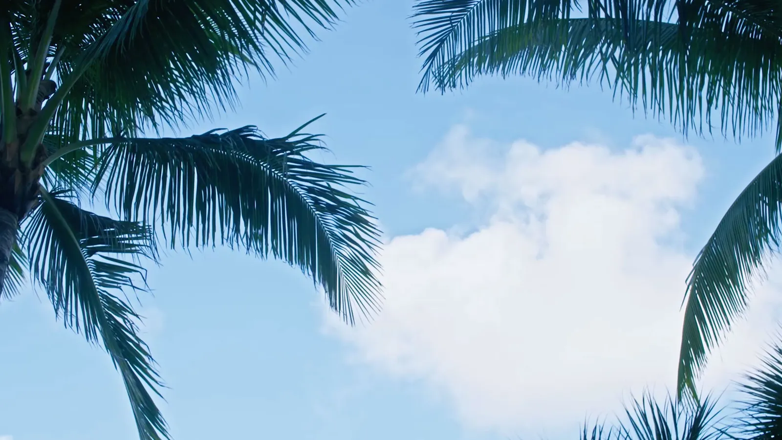 Carillon Miami Wellness Resort, Miami Beach