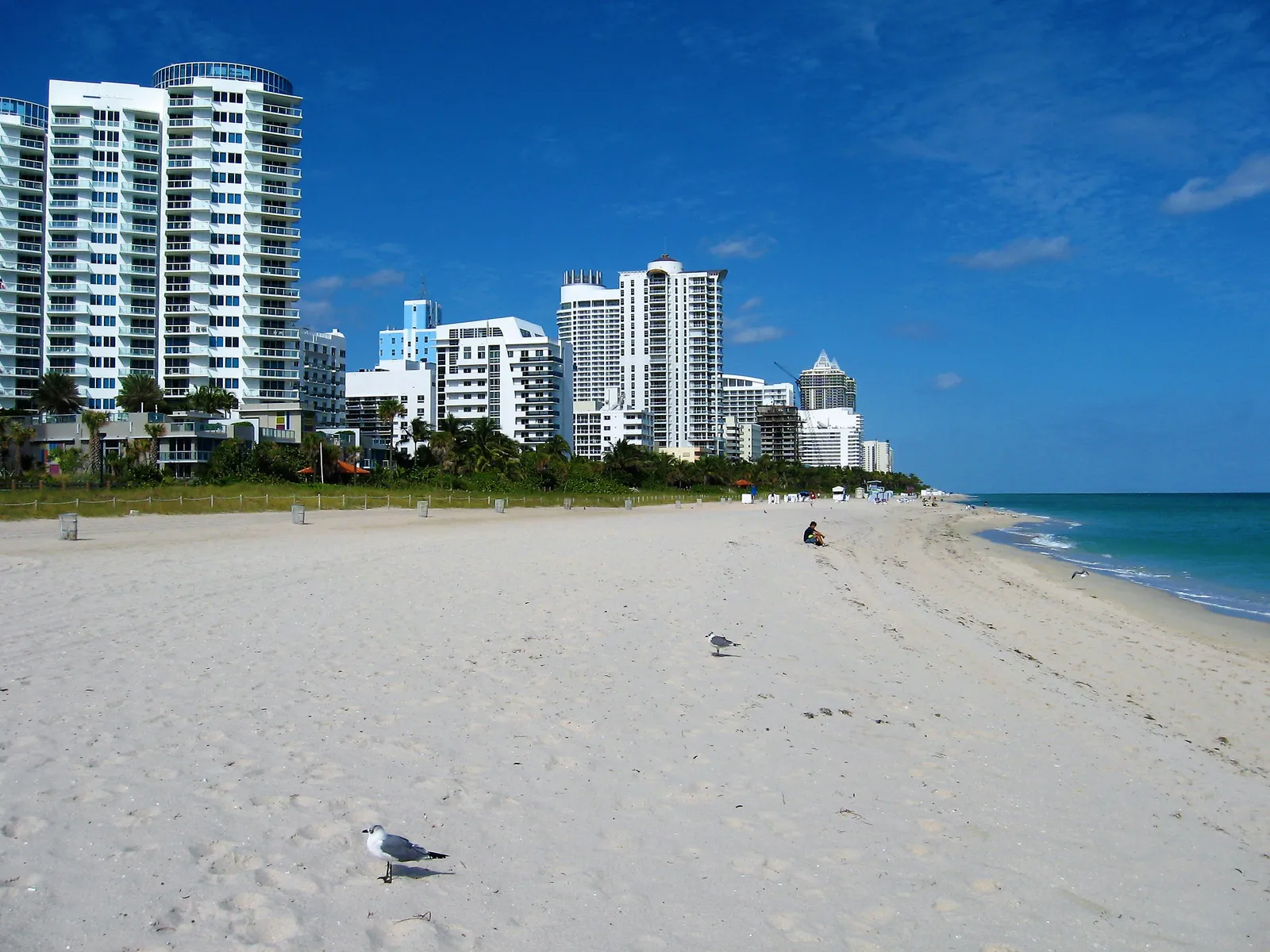 The Palms Hotel & Spa — Exterior, Miami Beach