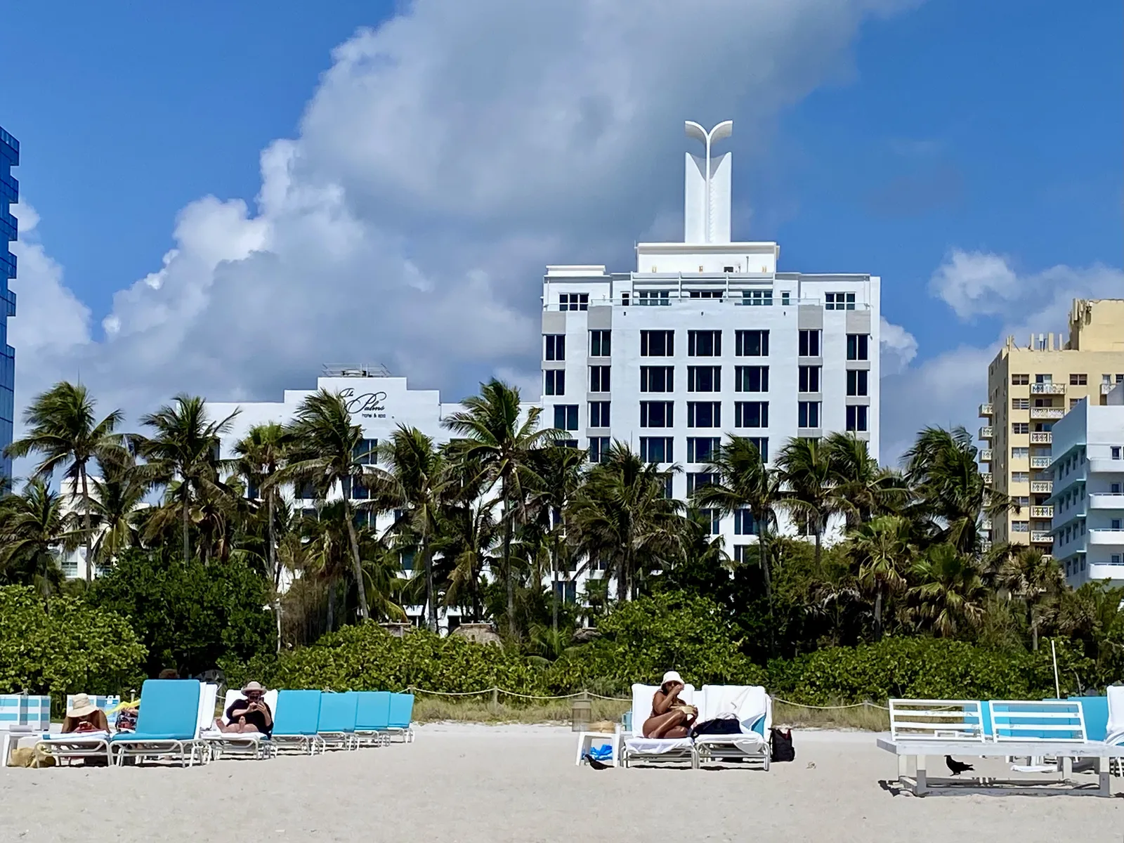 The Palms Hotel & Spa — Exterior, Miami Beach