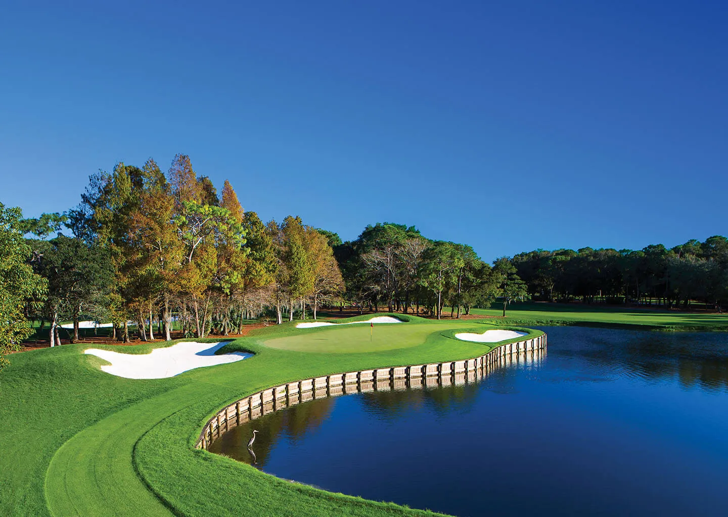 Innisbrook Resort, Palm Harbor