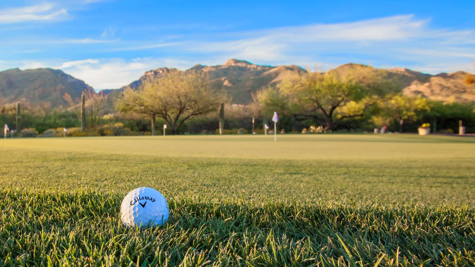 Ventana Canyon Club and Lodge, Tucson
