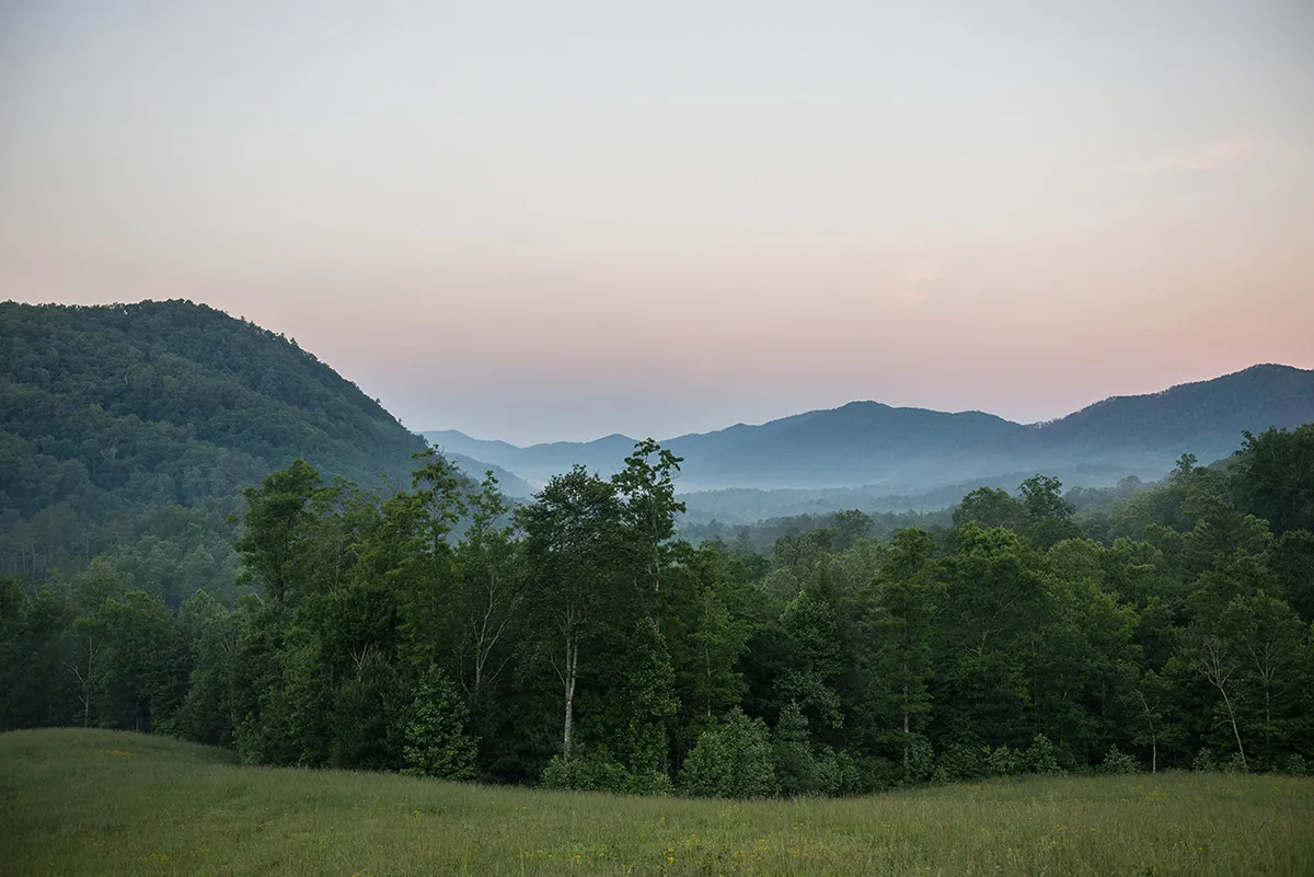 Blackberry Mountain, Walland