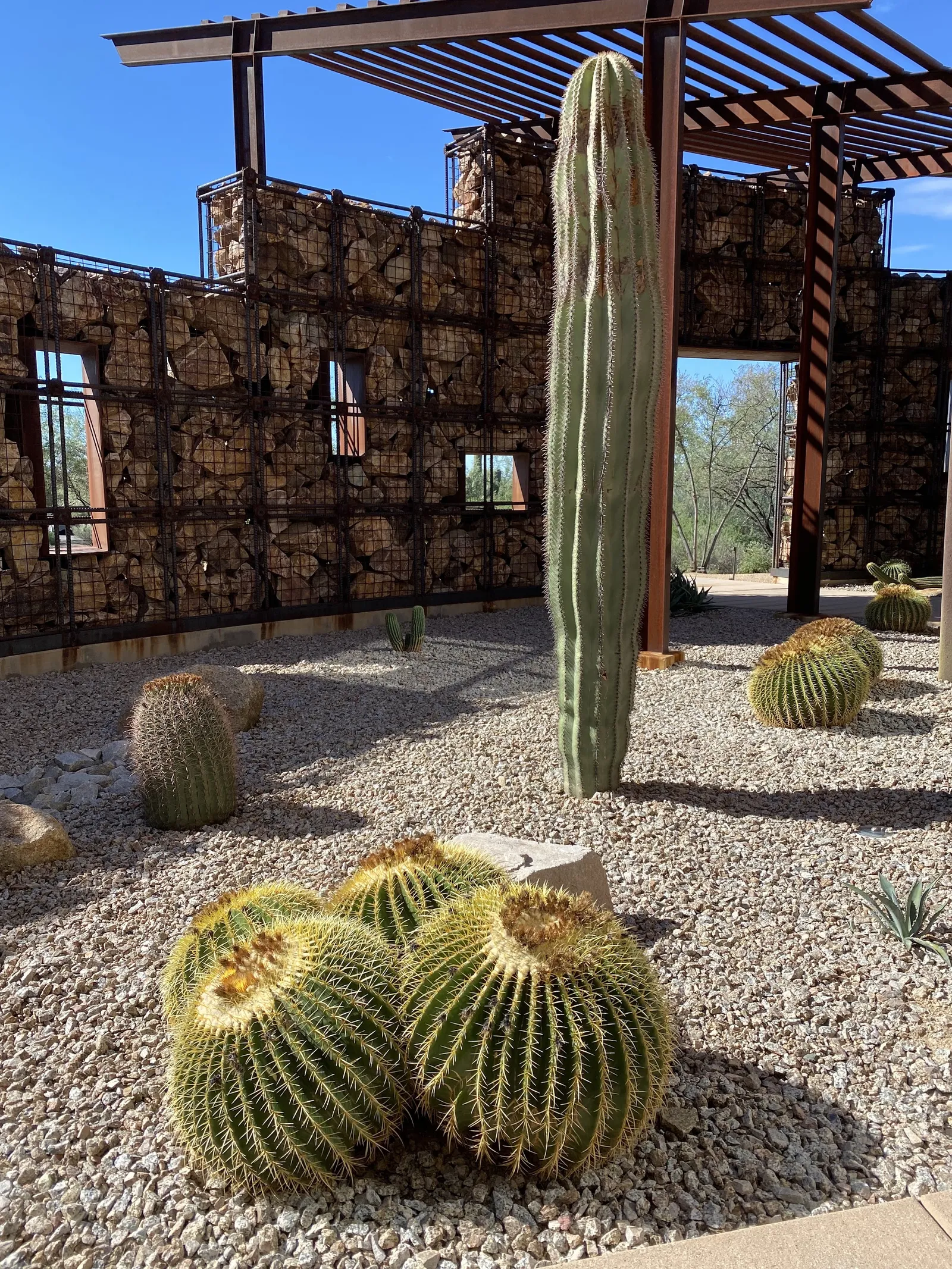 The Ritz-Carlton, Dove Mountain — Exterior, Marana