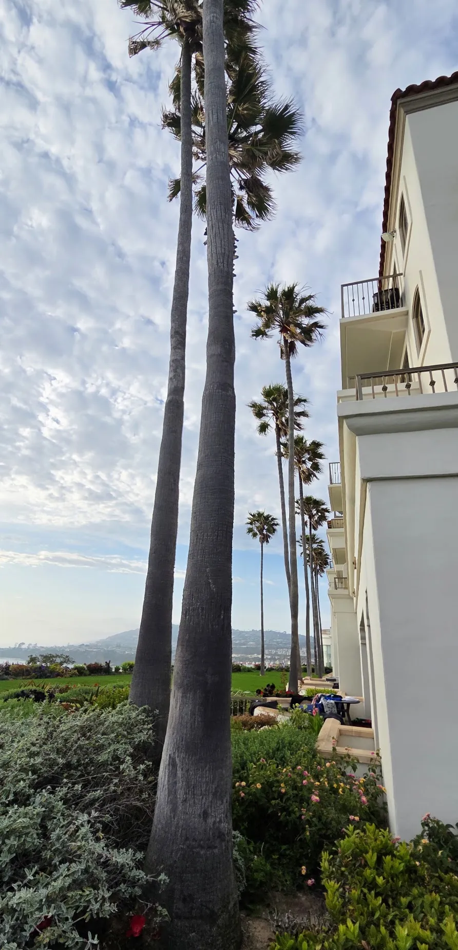 The Ritz-Carlton, Laguna Niguel — Exterior, Dana Point