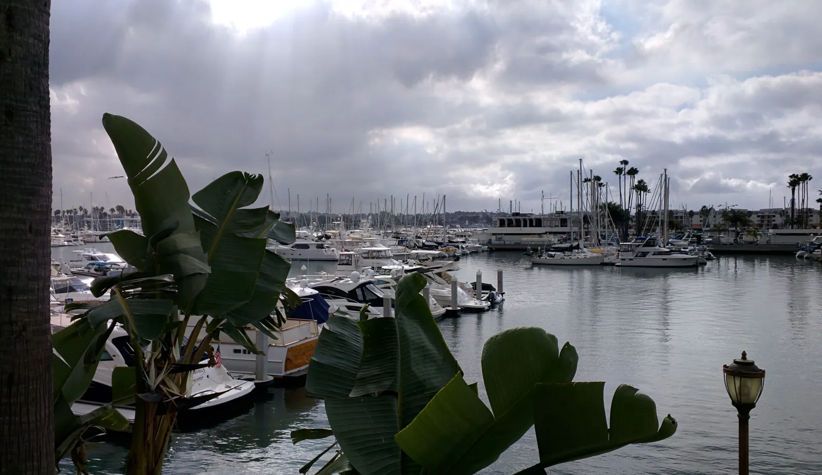 The Ritz-Carlton, Marina del Rey, Marina del Rey