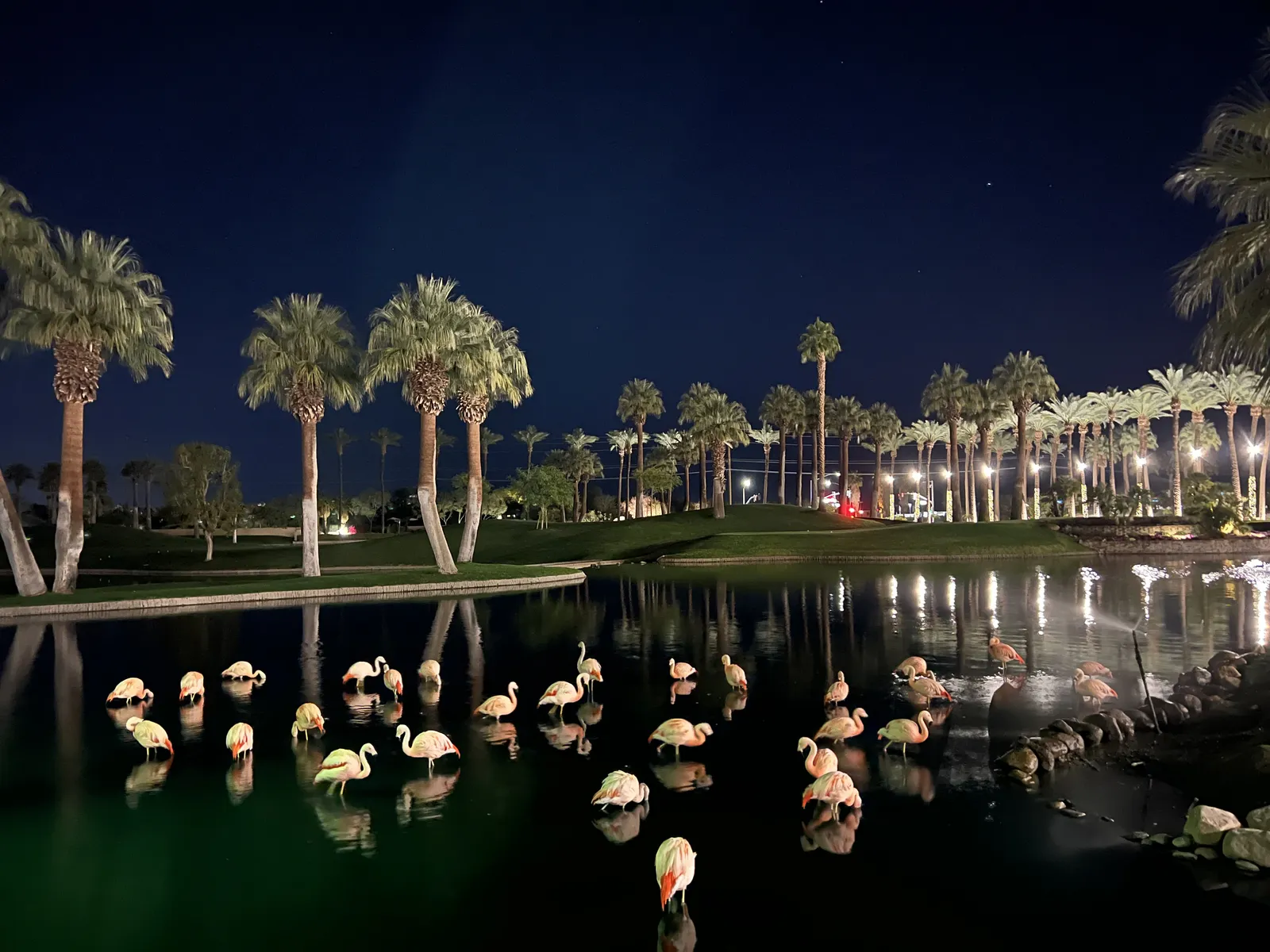 JW Marriott Desert Springs Resort & Spa — Exterior, Palm Desert