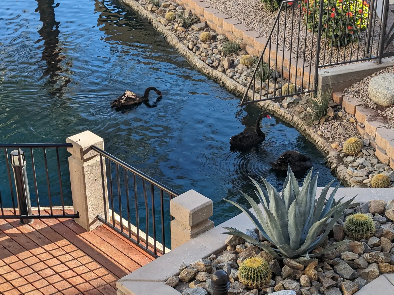 JW Marriott Desert Springs Resort & Spa — Exterior, Palm Desert