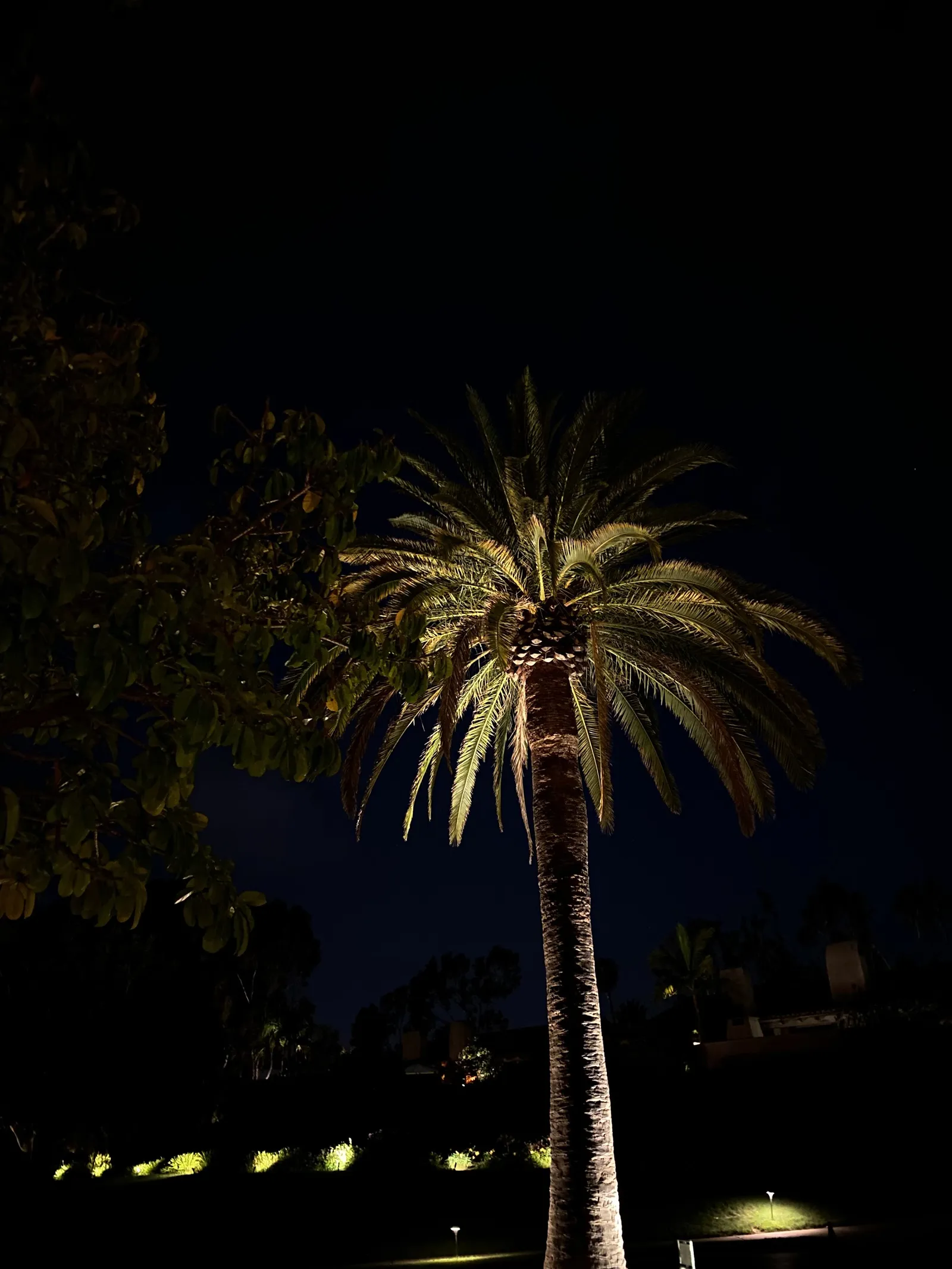 Rancho Valencia Resort & Spa — Exterior, Rancho Santa Fe