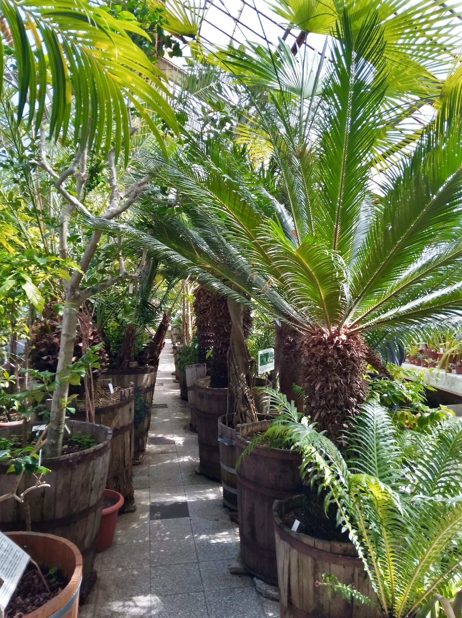 Palm House, Palm Beach