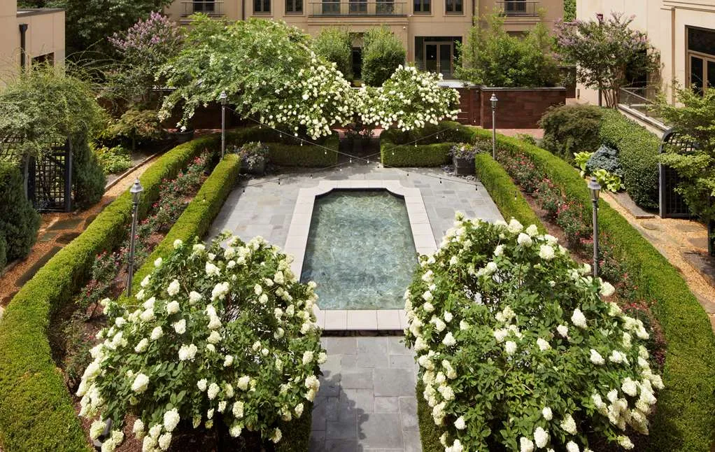 Waldorf Astoria Atlanta Buckhead — Exterior, Atlanta