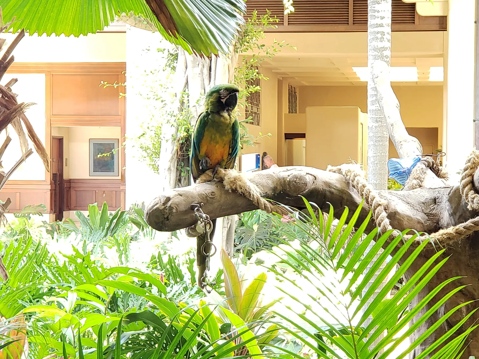 Grand Hyatt Kauai Resort & Spa — Exterior, Poipu