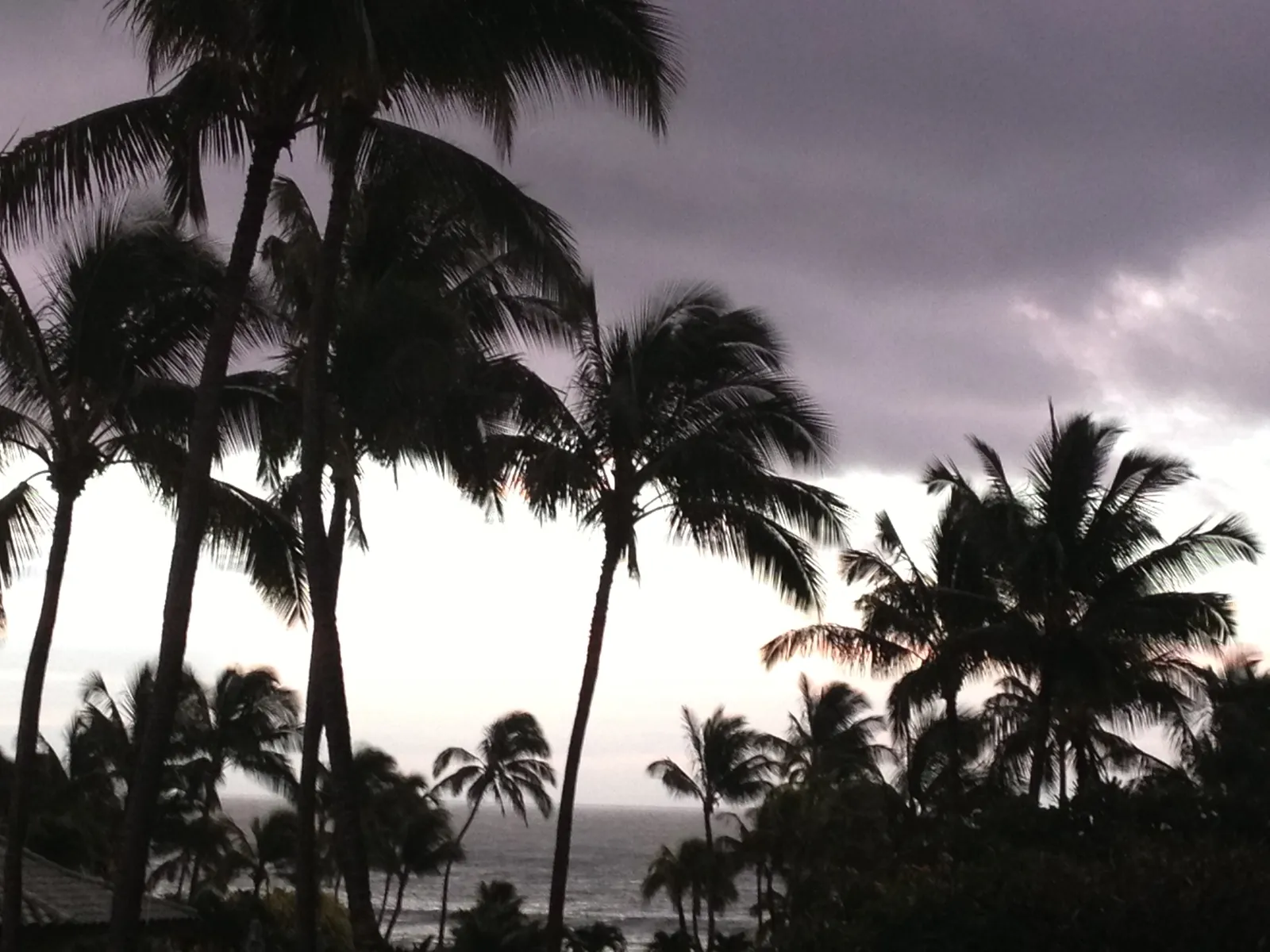 Grand Hyatt Kauai Resort & Spa, Poipu