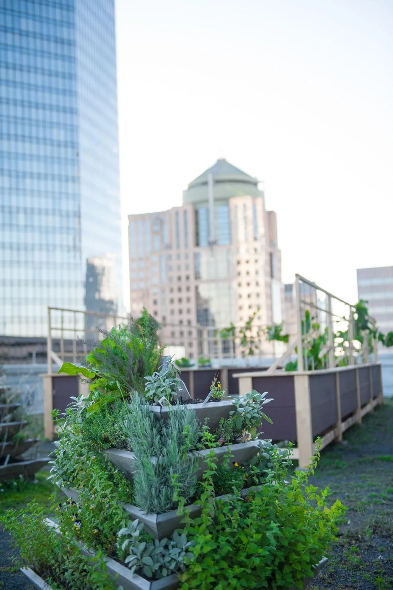 The Ritz-Carlton, Charlotte — Exterior, Charlotte