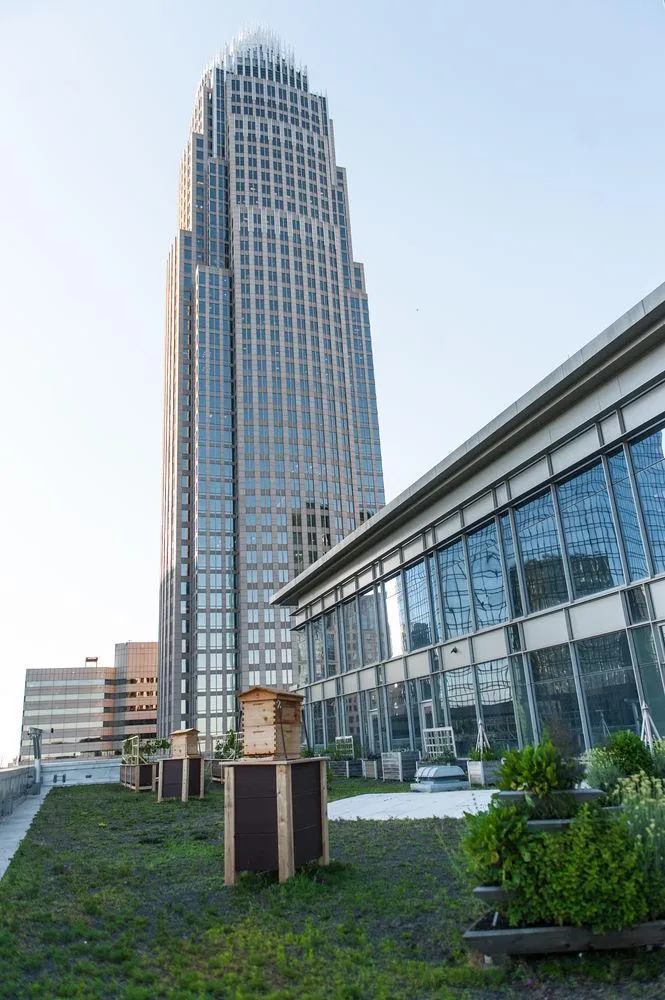 The Ritz-Carlton, Charlotte — Exterior, Charlotte