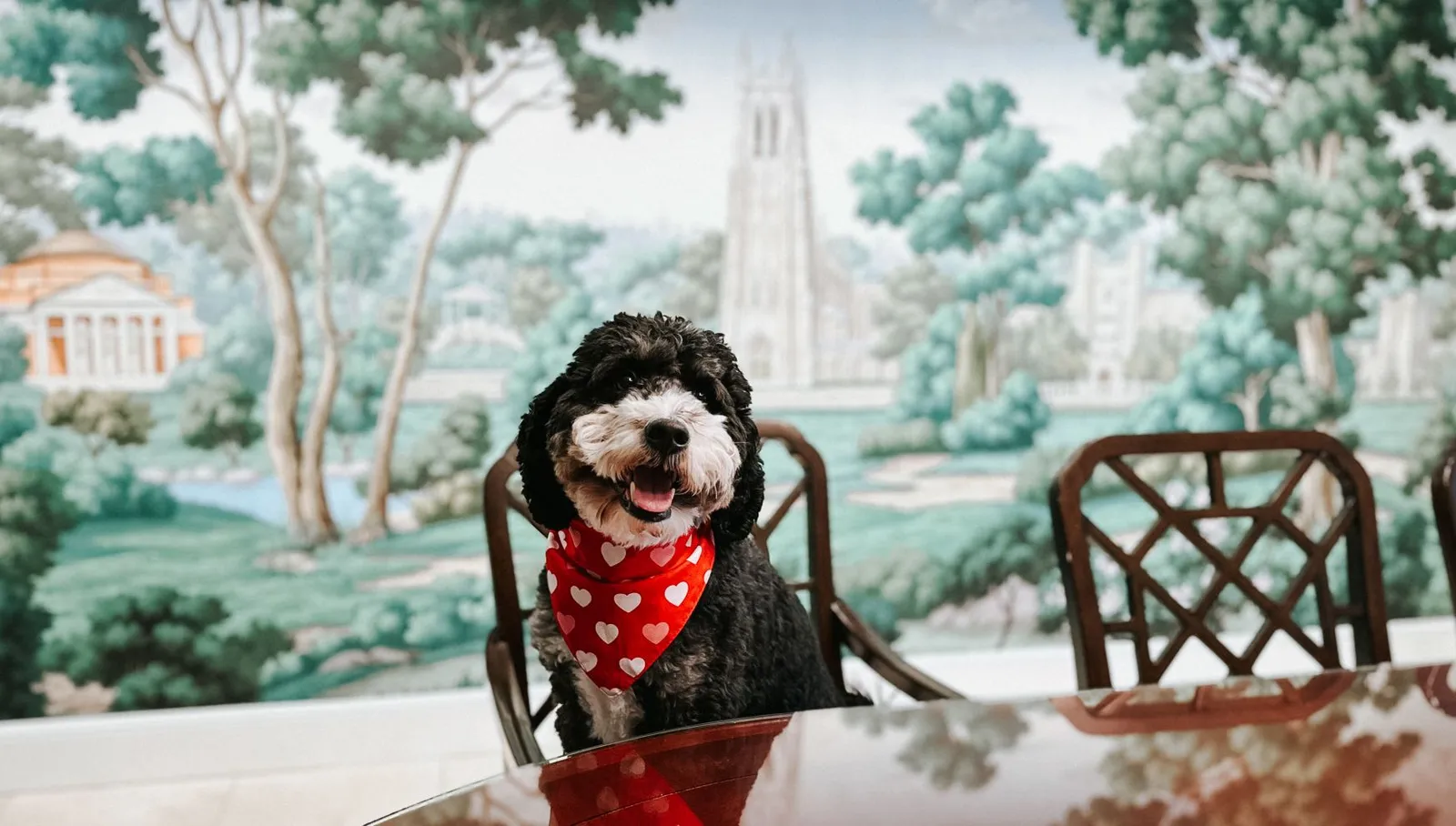 Washington Duke Inn & Golf Club, Durham