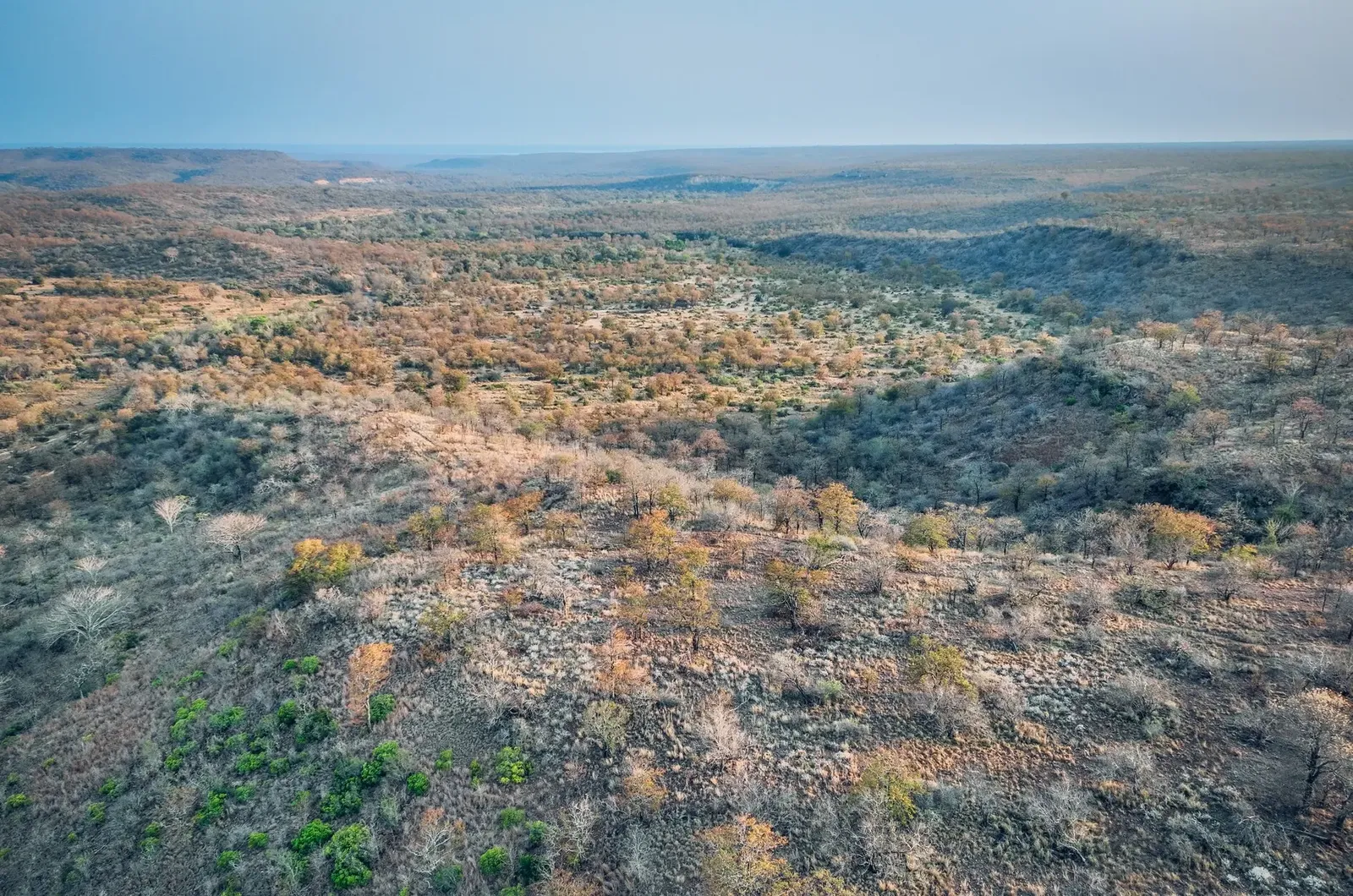 Aman Karingani, Harare