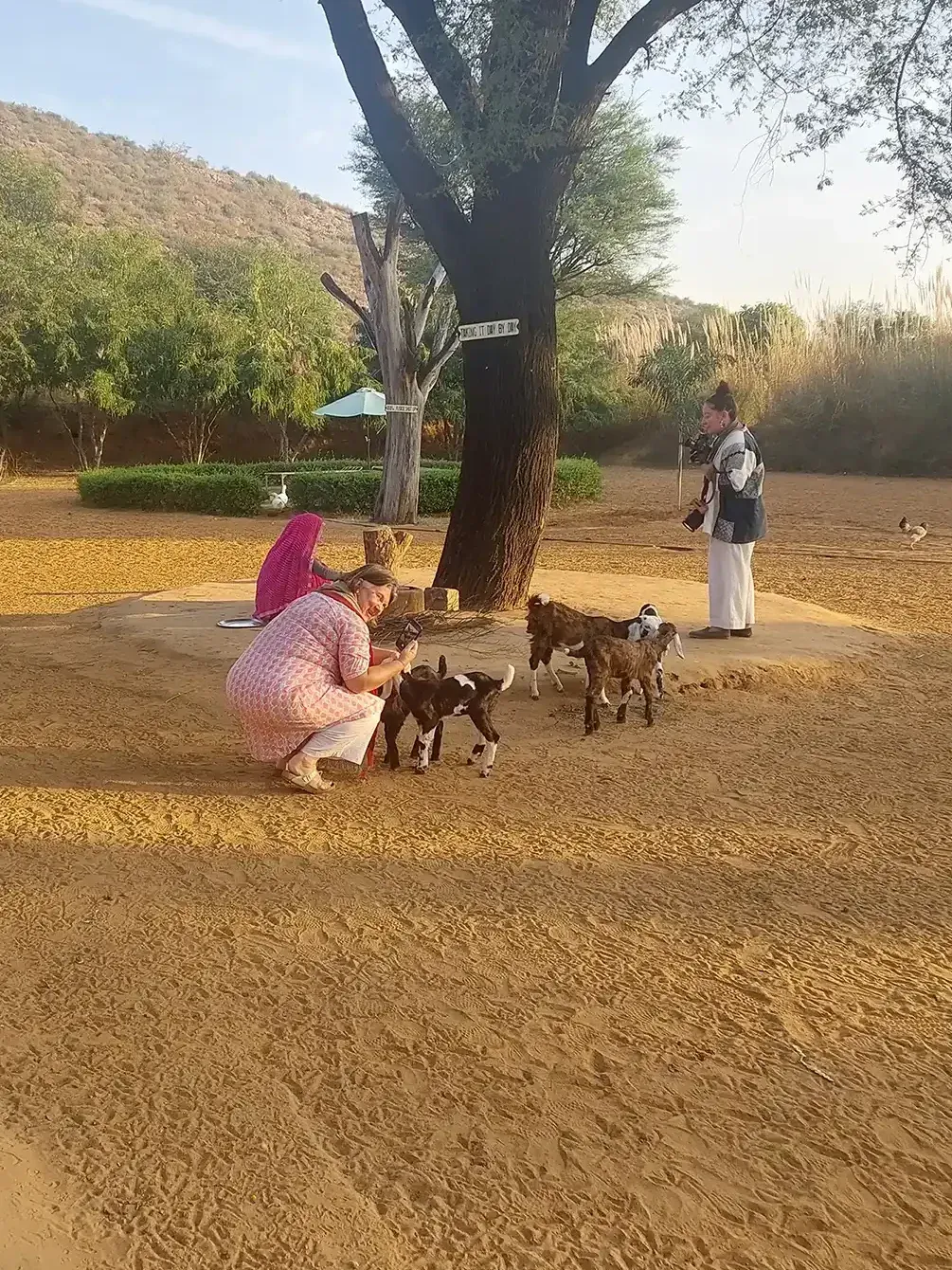 Anopura Resort Jaipur, Jaipur