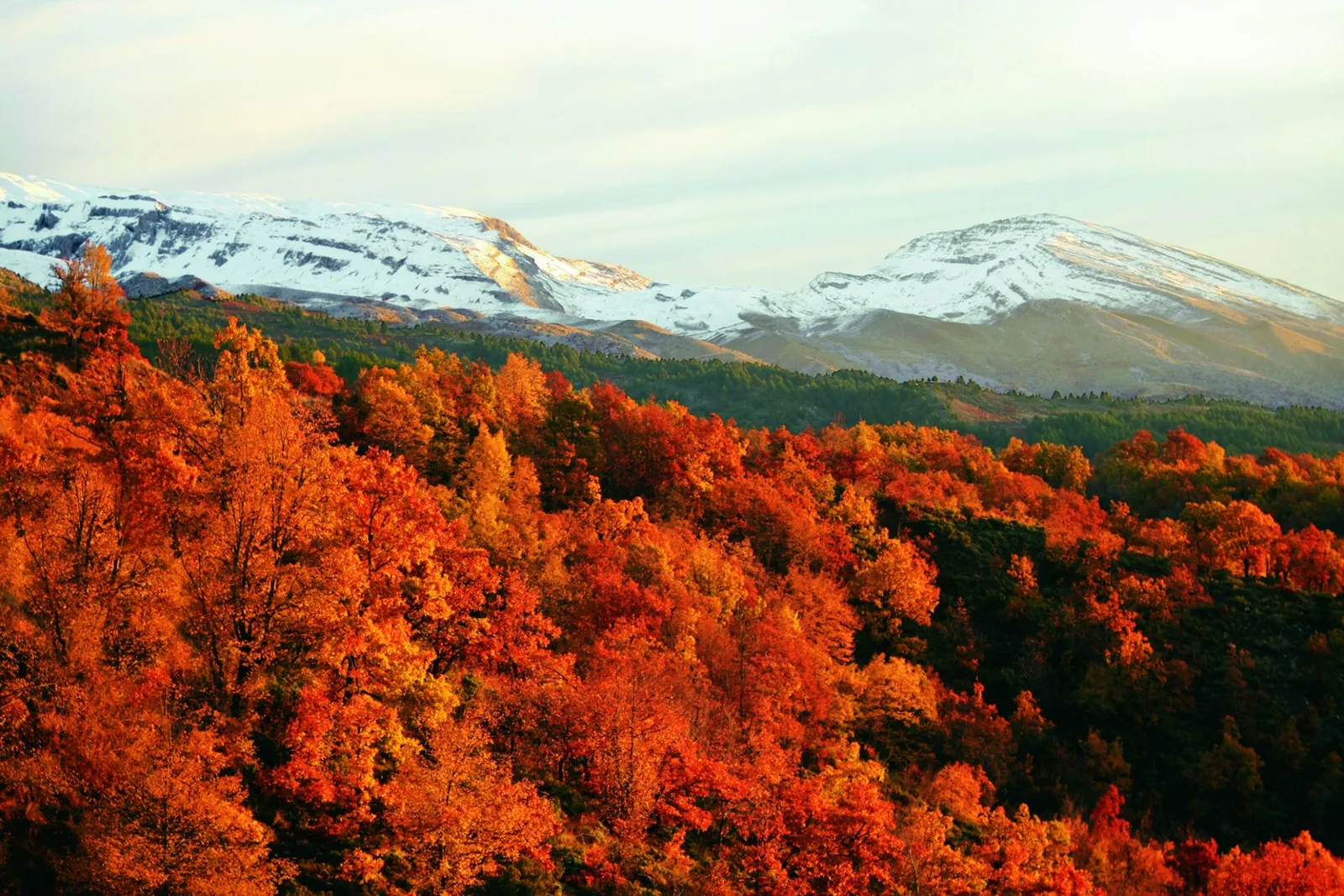 Aristi Mountain Resort, Aristi
