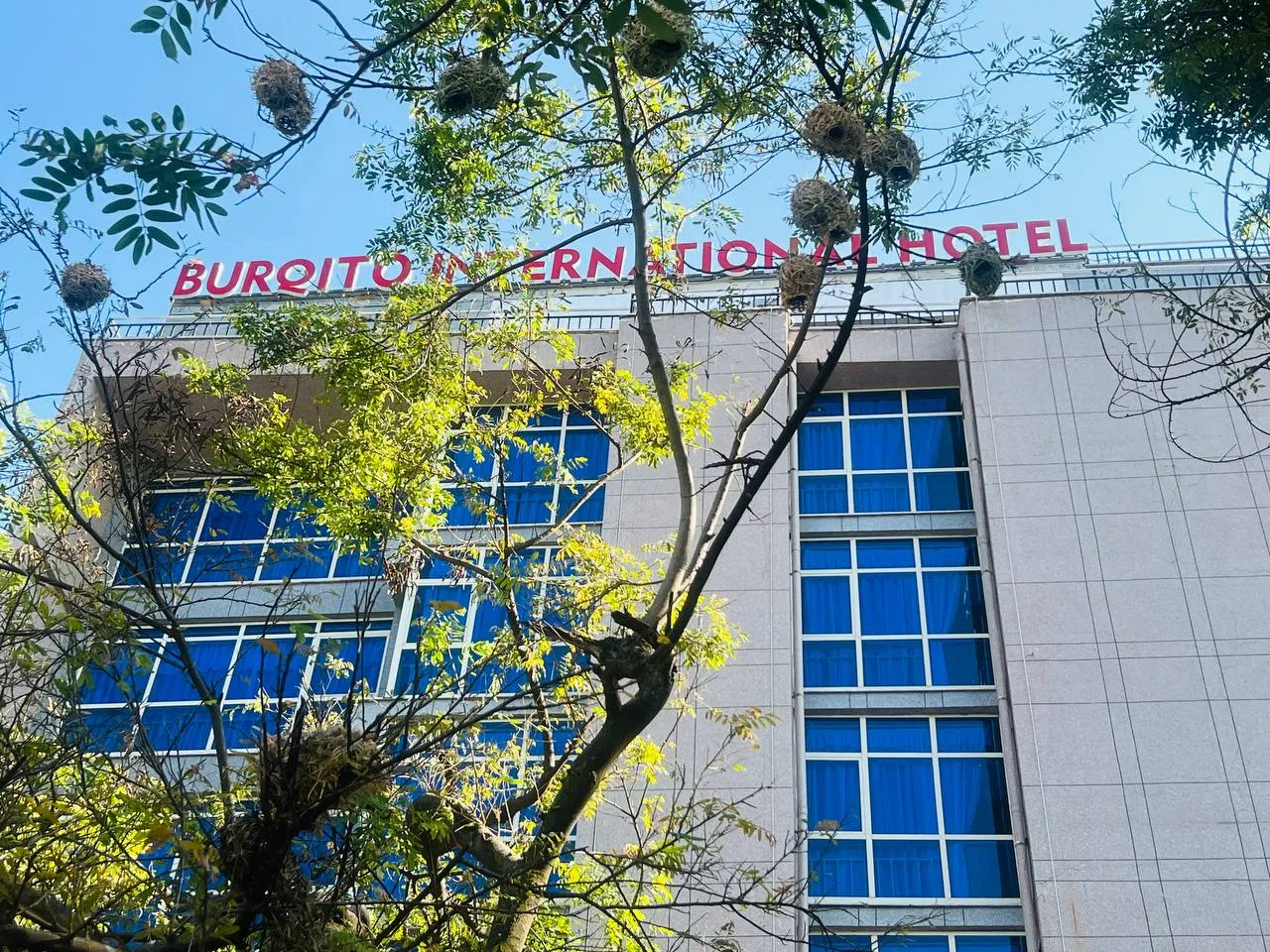 Burqito International Hotel — At a glance, Hawassa