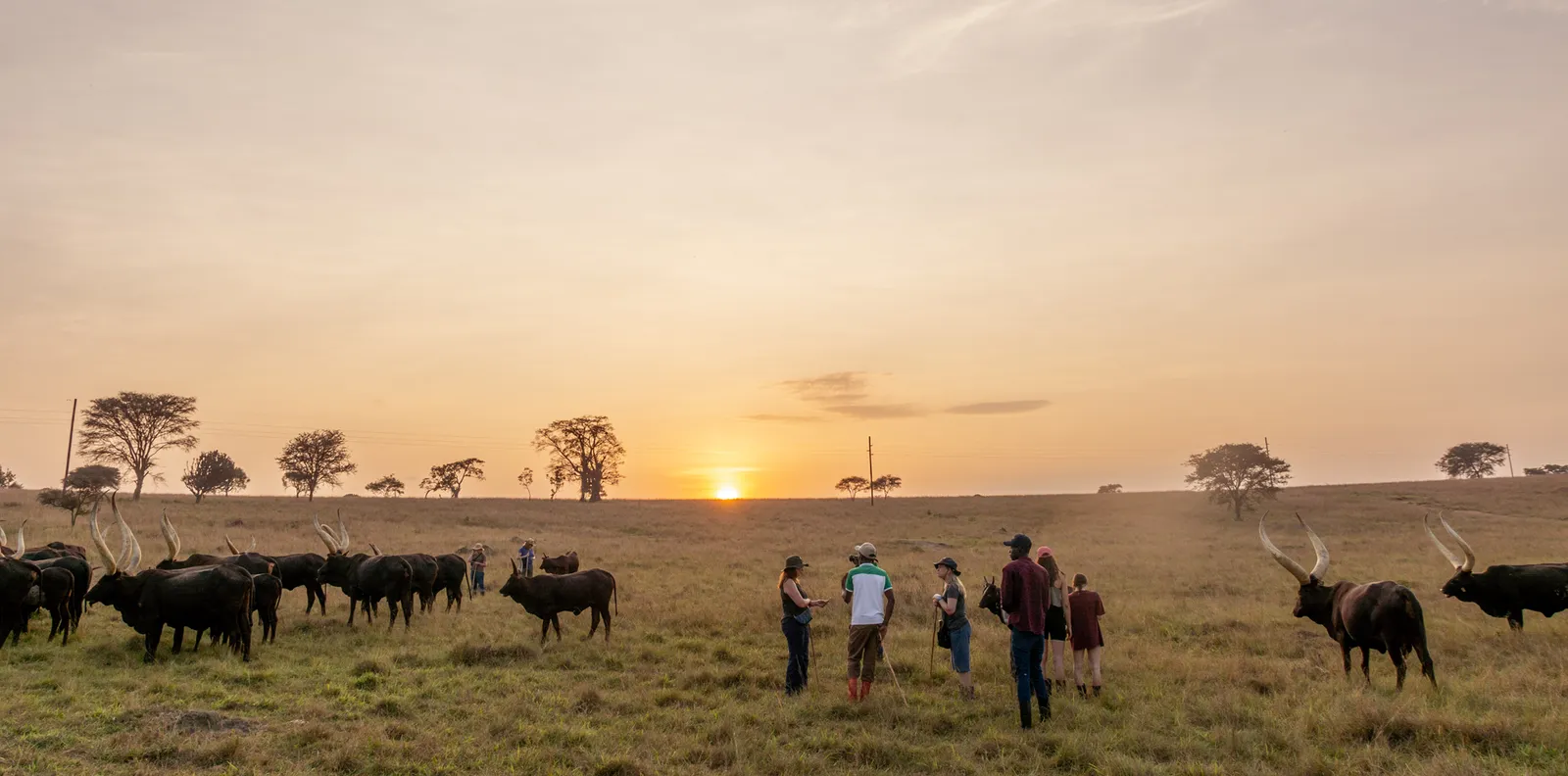 Emburara Farm Lodge, Mbarara