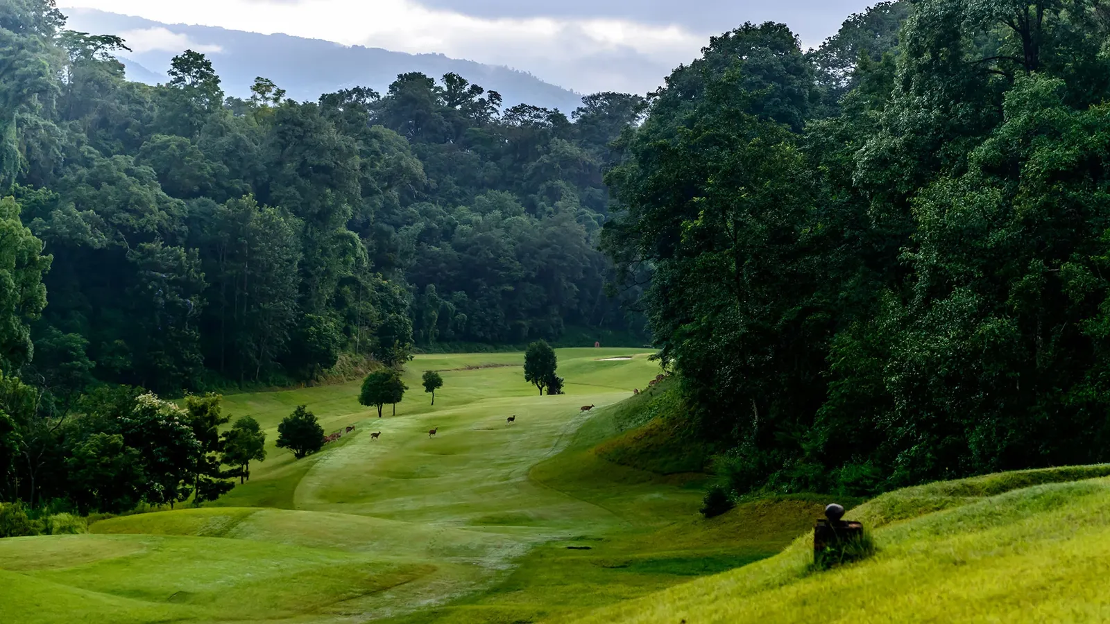 Gokarna Forest Resort, Kathmandu