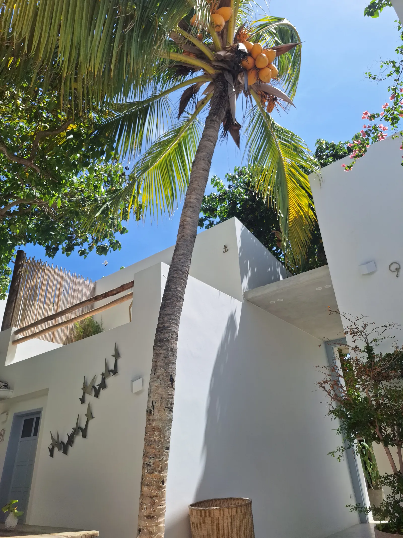 Laguna By LD Hoteles — Exterior, Gran Roque