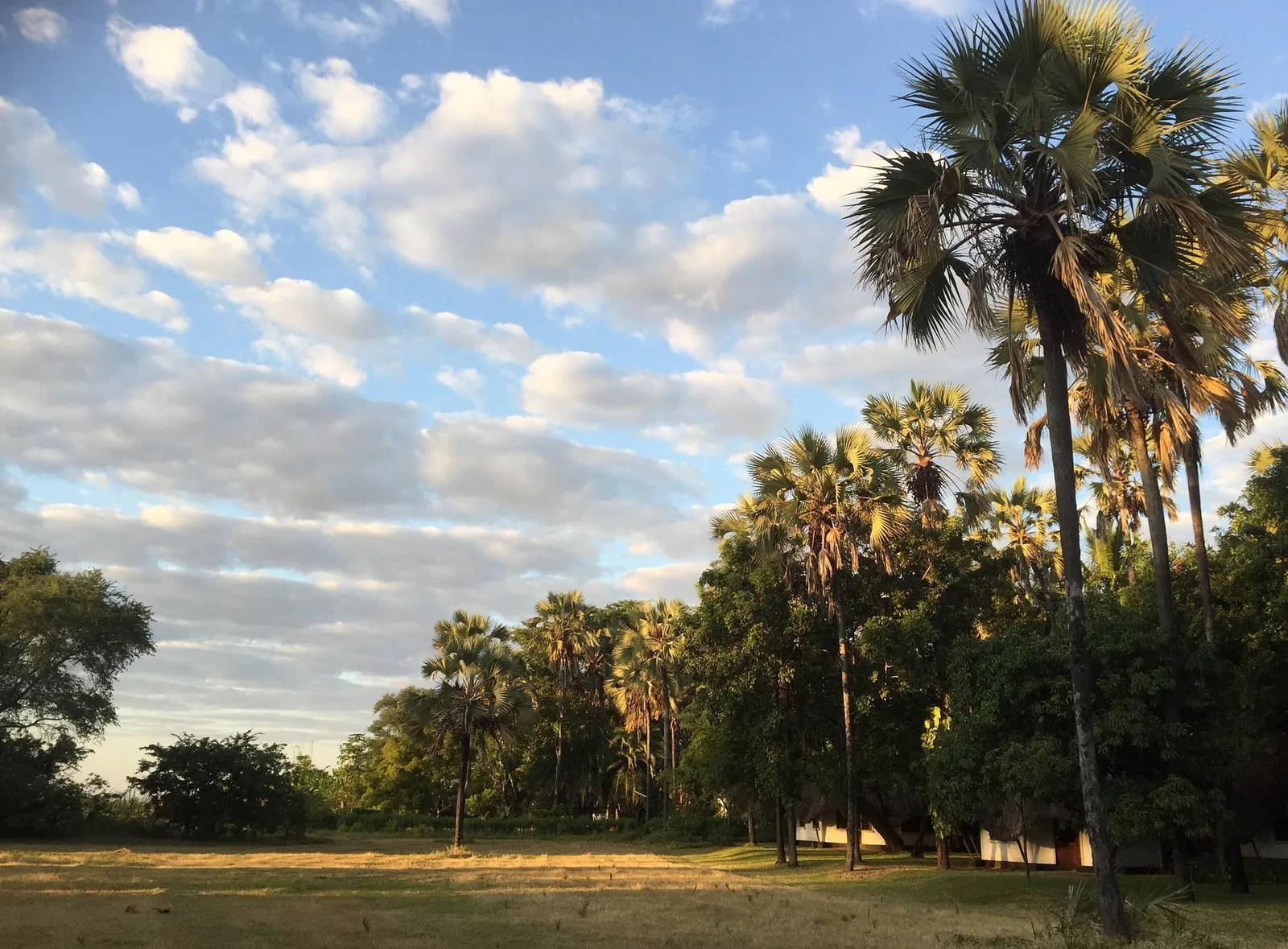 Mog Ford Resort — At a glance, Mangochi