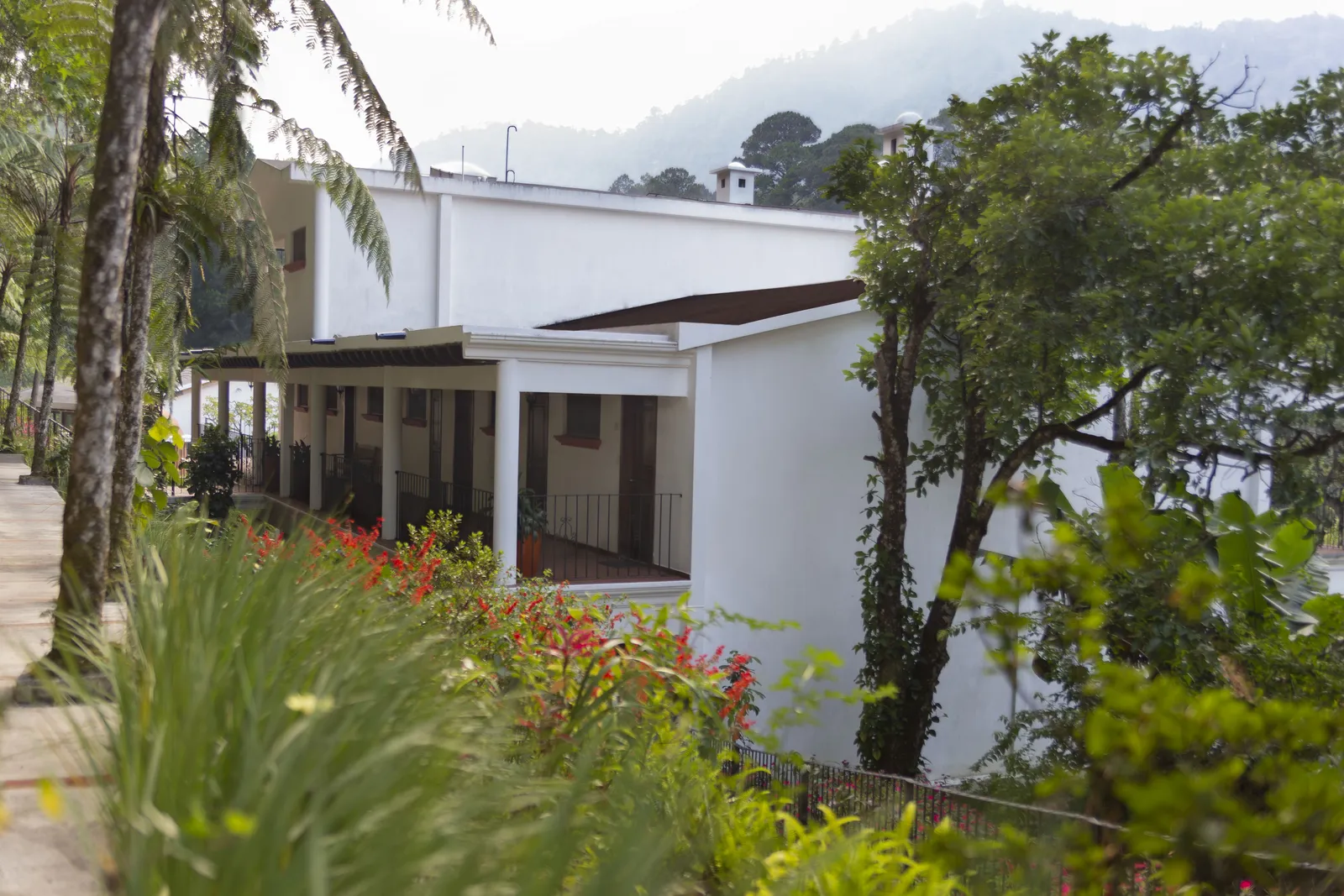 Hotel Panisté — Exterior, San Cristóbal