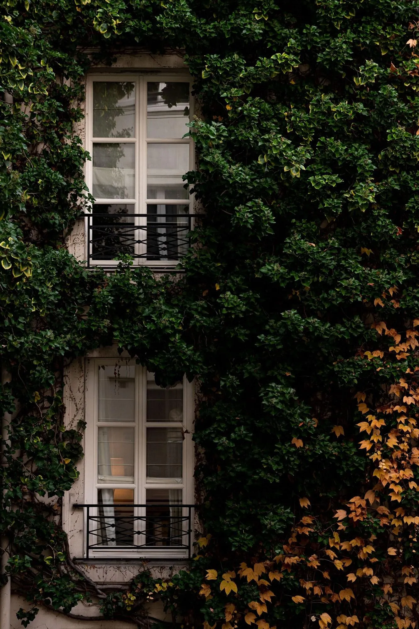 Hotel Pavillon de la Reine — Exterior, Paris