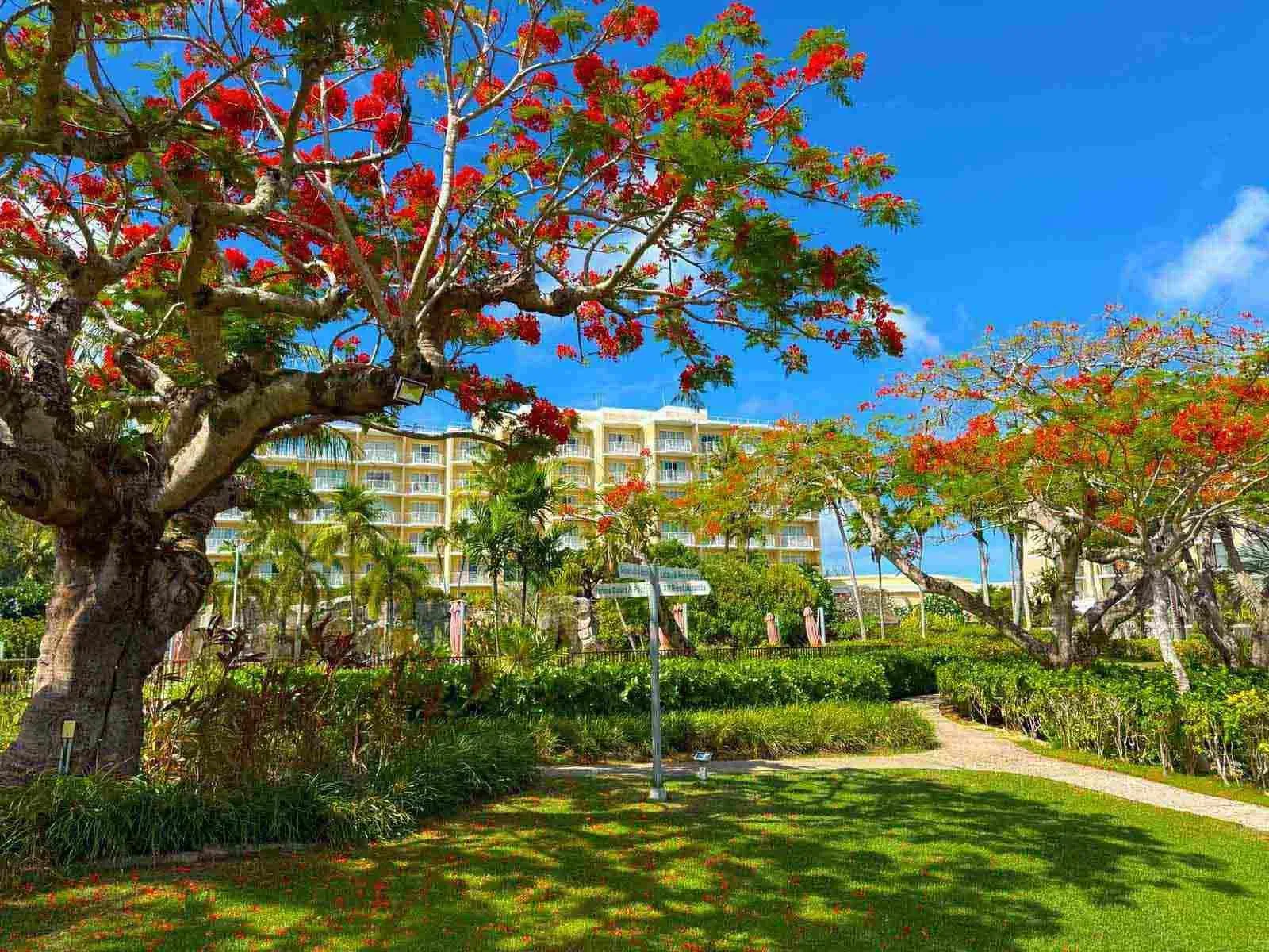 Marianas Beach Resort, Saipan