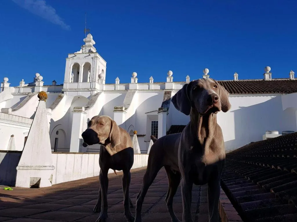 Convento do Espinheiro, Historic Hotel & Spa — Exterior, Évora