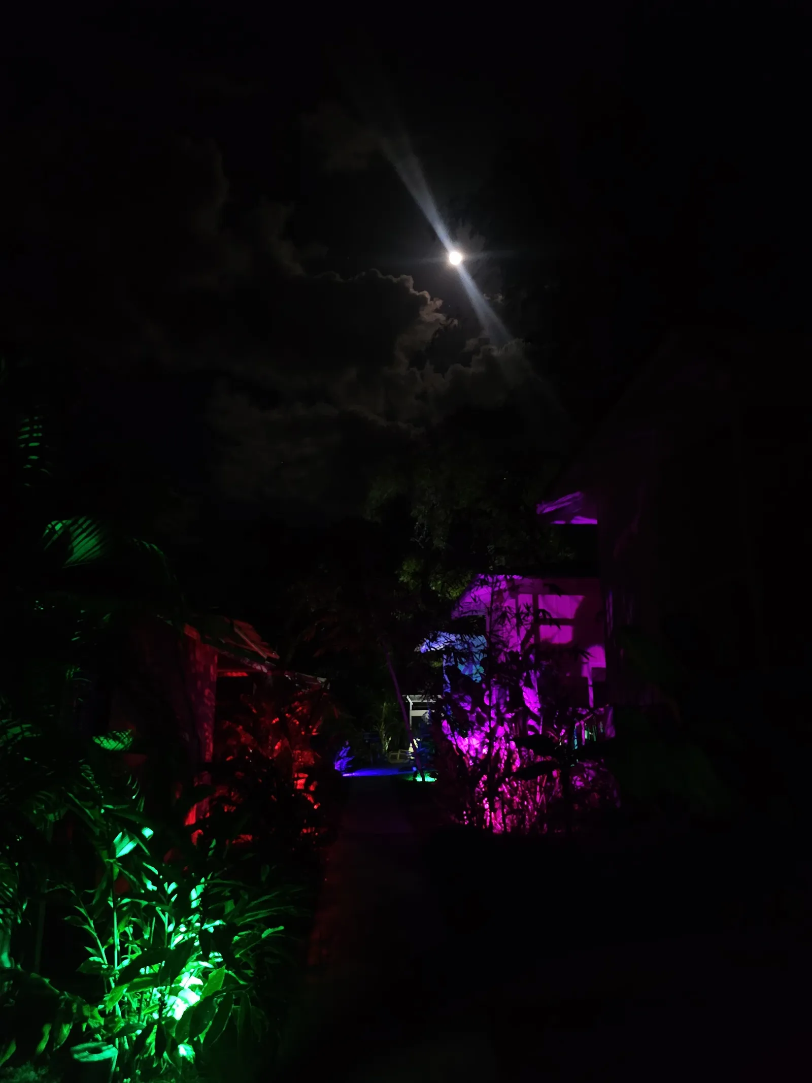 Gaia Hotel & Reserve — Exterior, Manuel Antonio