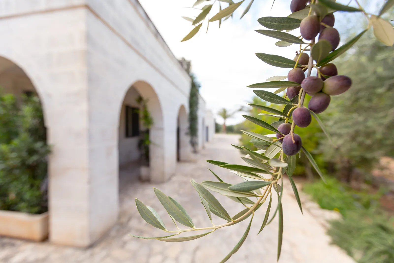Masseria San Domenico — Exterior, Savelletri di Fasano