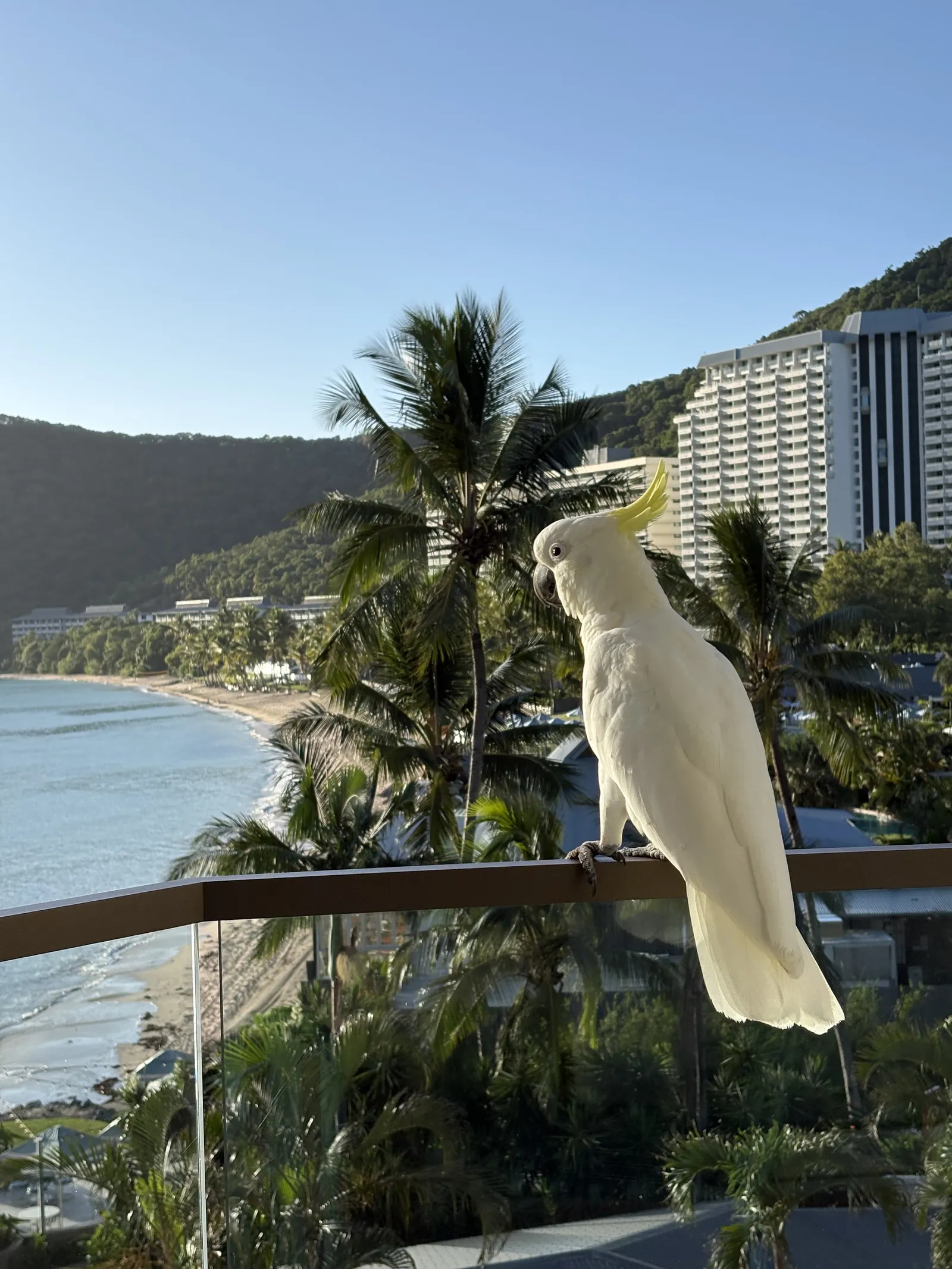 The Sundays — Exterior, Hamilton Island