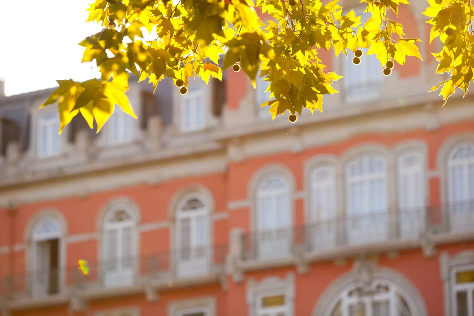 Vidago Palace Hotel — Exterior, Vidago