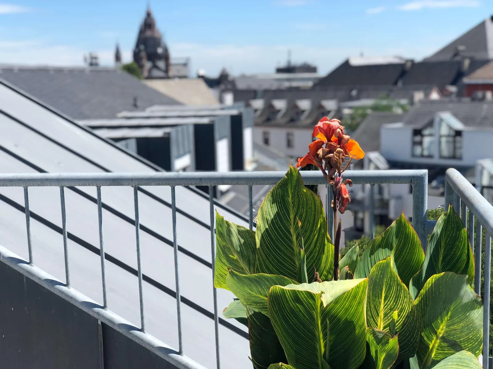 Brunfels Hotel — Exterior, Mainz