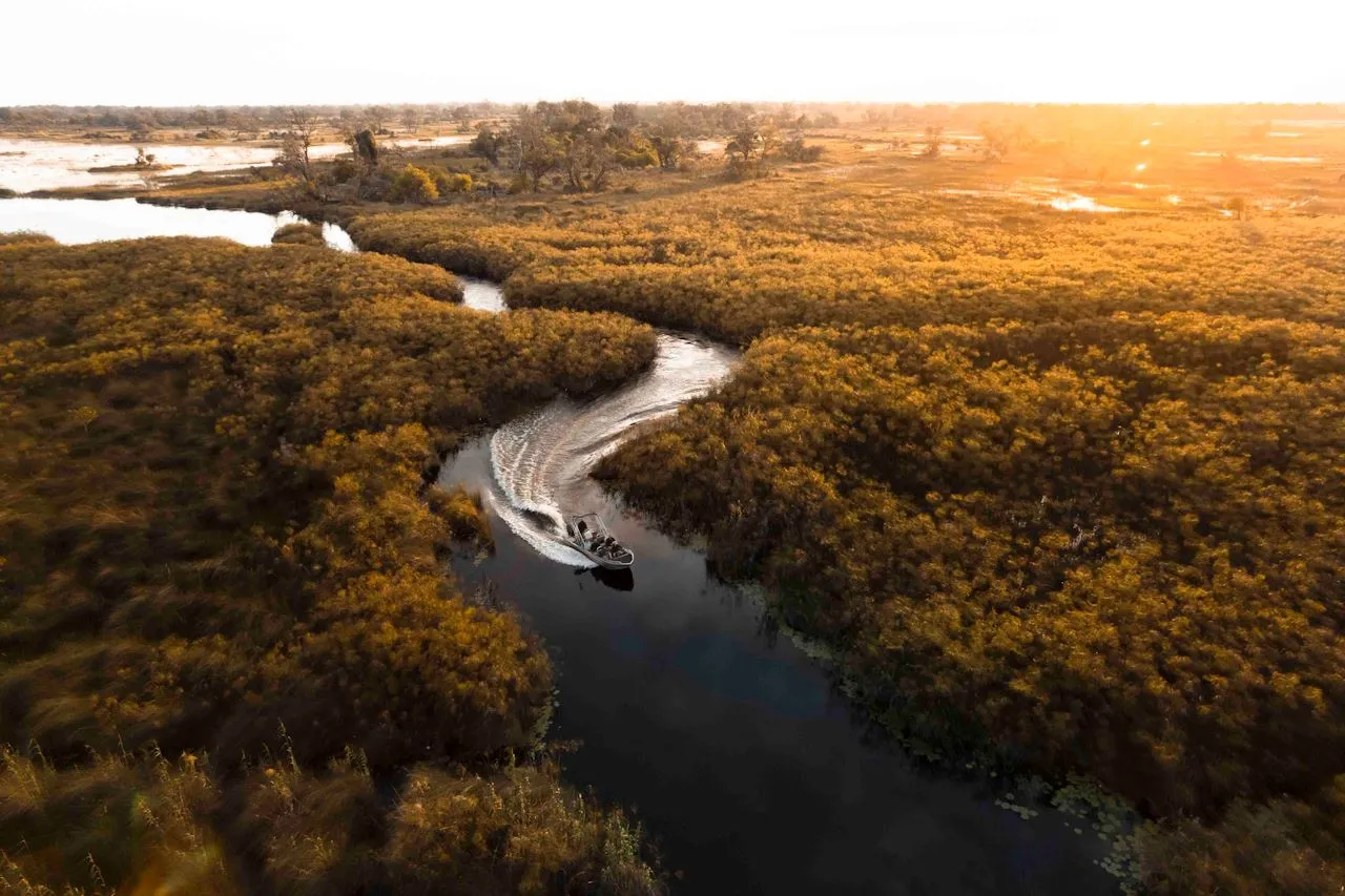 Vumbura Plains, Maun
