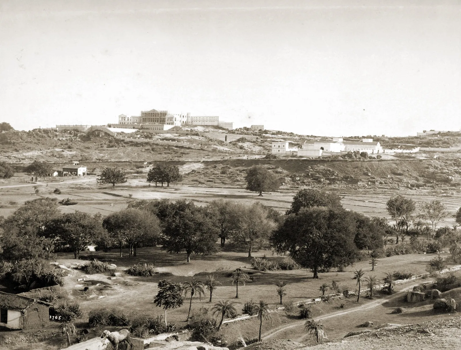 Taj Falaknuma Palace, Hyderabad