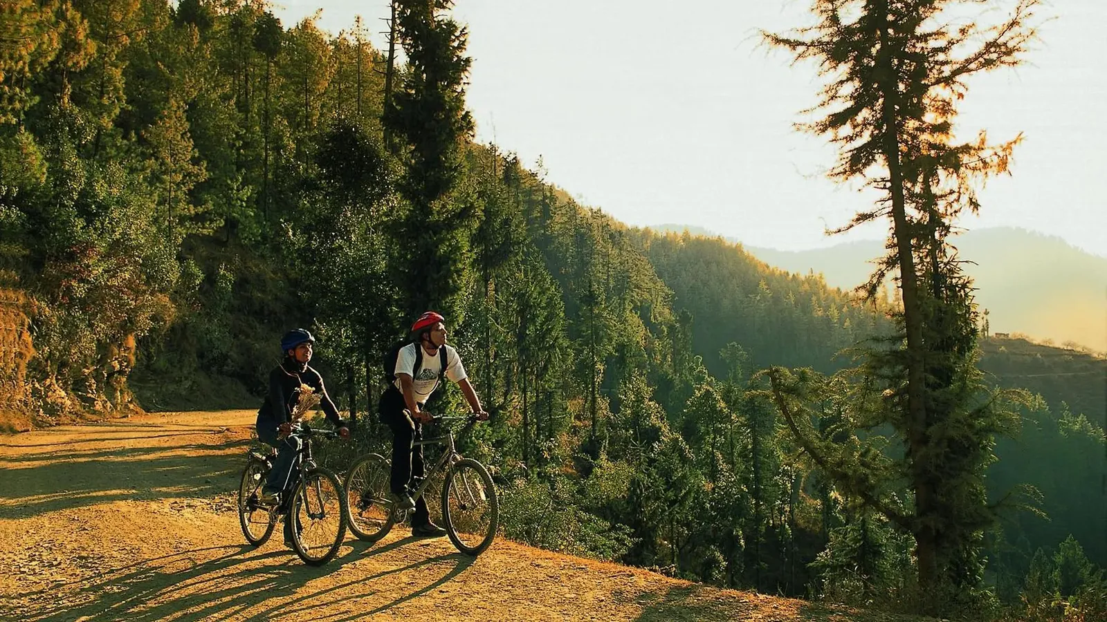 Wildflower Hall, Shimla